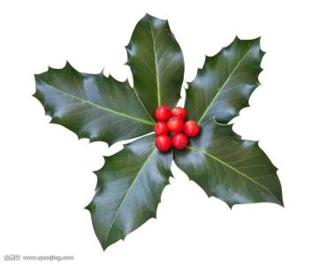 ר·ÃÖ¤¼à»áÊ×ϯÂÉʦ£ºÖ¤È¯¼¯ÌåËßËϽøÕ¹ÈçºÎ?