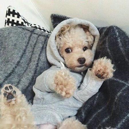 ÈËʶ¯Ì¬£üׯÉÙÇÚÈÎ×ÔÈ»×ÊÔ´²¿¸±²¿³¤