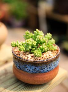 ޵ǵ1 ڹ˹Ǻ˵վݹر